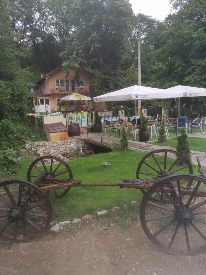 Casa De Vacanta Emd Ieşelniţa Extérieur photo