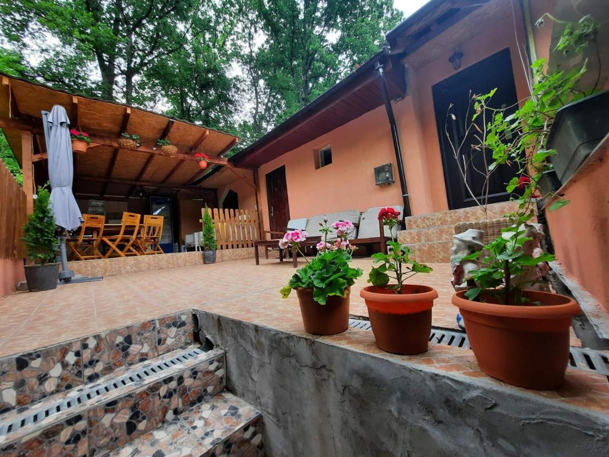 Casa De Vacanta Emd Ieşelniţa Extérieur photo