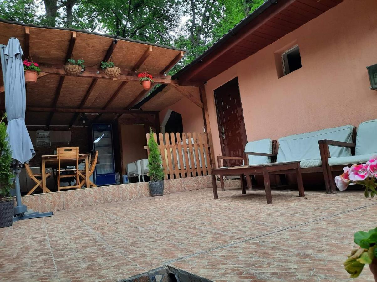 Casa De Vacanta Emd Ieşelniţa Extérieur photo