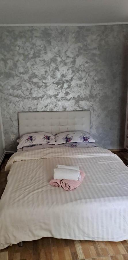Casa De Vacanta Emd Ieşelniţa Extérieur photo