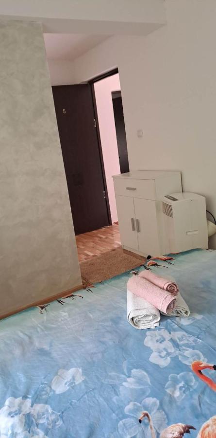 Casa De Vacanta Emd Ieşelniţa Extérieur photo