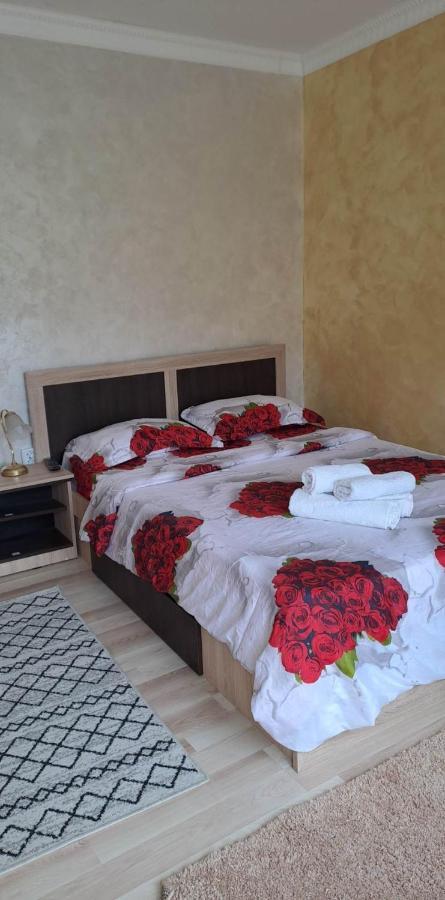 Casa De Vacanta Emd Ieşelniţa Extérieur photo