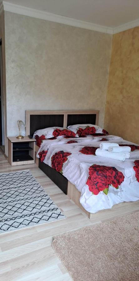 Casa De Vacanta Emd Ieşelniţa Extérieur photo