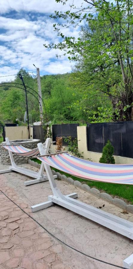 Casa De Vacanta Emd Ieşelniţa Extérieur photo